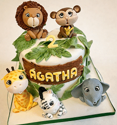 Meu Primeiro Zoológico - 38